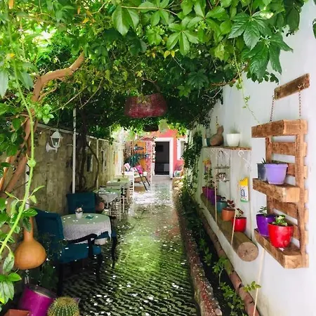 Pansiyon Lavinya *
